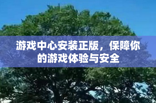 游戏中心安装正版，保障你的游戏体验与安全