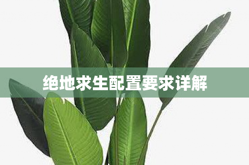 绝地求生配置要求详解