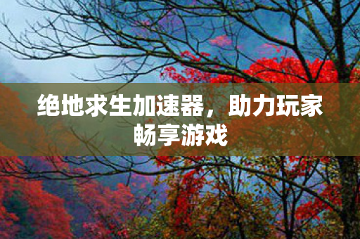 绝地求生加速器，助力玩家畅享游戏