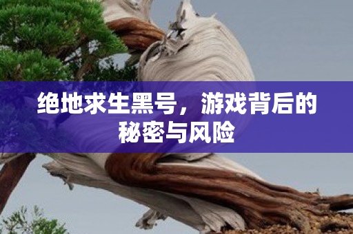 绝地求生黑号，游戏背后的秘密与风险