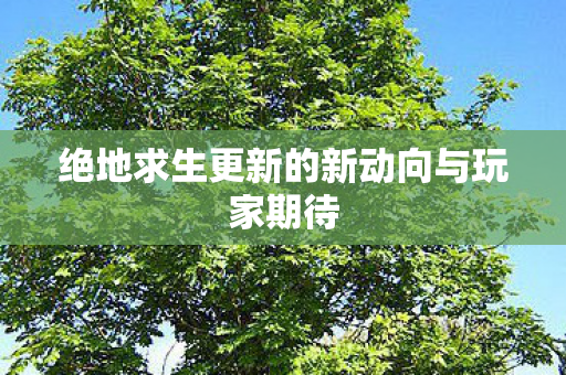 绝地求生更新的新动向与玩家期待