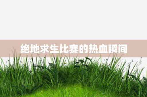 绝地求生比赛的热血瞬间 绝地求生比赛的热血瞬间