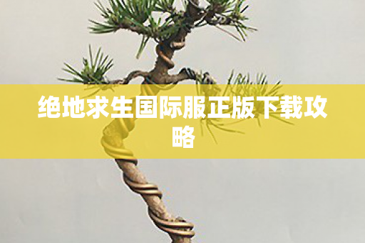 绝地求生国际服正版下载攻略