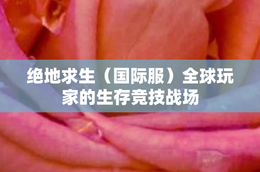 绝地求生（国际服）全球玩家的生存竞技战场