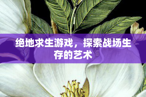 绝地求生游戏，探索战场生存的艺术