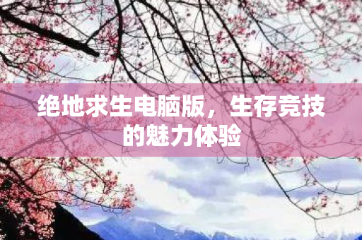 绝地求生电脑版，生存竞技的魅力体验