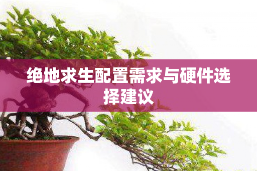 绝地求生配置需求与硬件选择建议