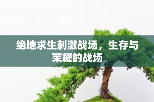 绝地求生刺激战场，生存与荣耀的战场