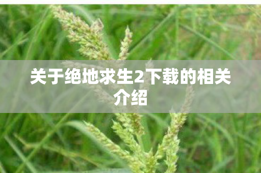 关于绝地求生2下载的相关介绍 关于绝地求生2下载的相关介绍