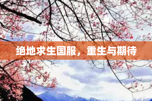 绝地求生国服，重生与期待