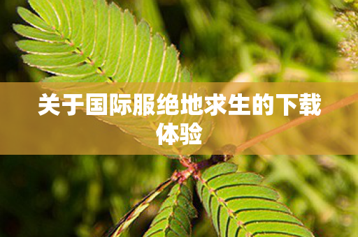 关于国际服绝地求生的下载体验