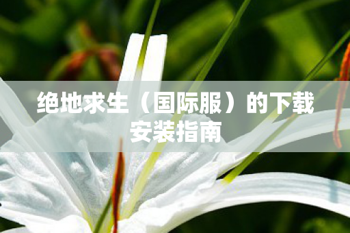 绝地求生（国际服）的下载安装指南