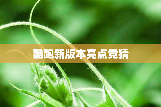 酷跑新版本亮点竞猜