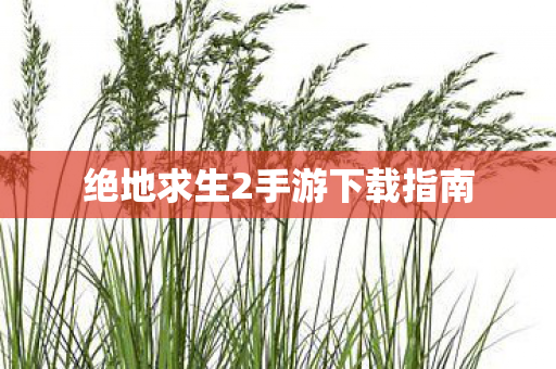 绝地求生2手游下载指南