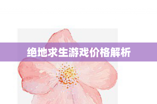 绝地求生游戏价格解析