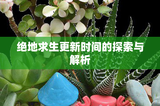 绝地求生更新时间的探索与解析