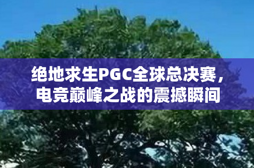 绝地求生PGC全球总决赛，电竞巅峰之战的震撼瞬间