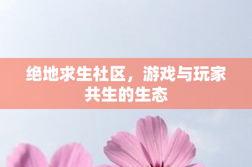 绝地求生社区,游戏与玩家共生的生态 绝地求生社区,游戏与玩家共生的生态