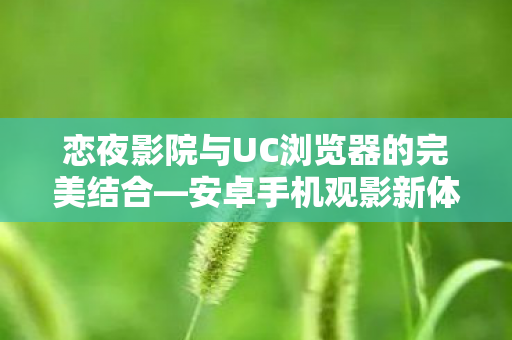恋夜影院与UC浏览器的完美结合—安卓手机观影新体验