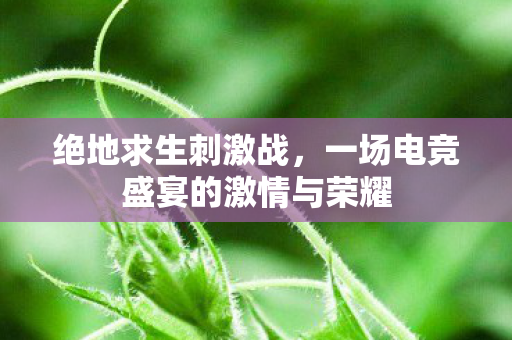 绝地求生刺激战，一场电竞盛宴的激情与荣耀