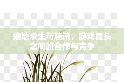绝地求生与腾讯,游戏巨头之间的合作与竞争 绝地求生与腾讯,游戏巨头之间的合作与竞争