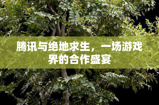 腾讯与绝地求生,一场游戏界的合作盛宴 腾讯与绝地求生,一场游戏界的合作盛宴