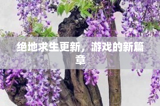 绝地求生更新,游戏的新篇章 绝地求生更新,游戏的新篇章