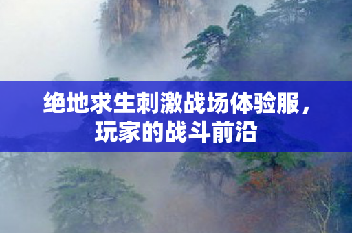 绝地求生刺激战场体验服,玩家的战斗前沿 绝地求生刺激战场体验服,玩家的战斗前沿