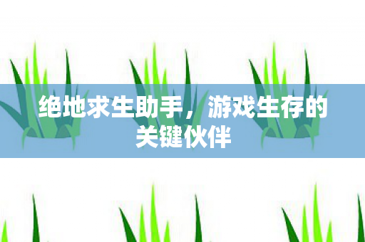 绝地求生助手，游戏生存的关键伙伴
