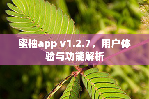 蜜柚app v1.2.7，用户体验与功能解析