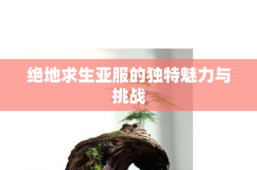绝地求生亚服的独特魅力与挑战