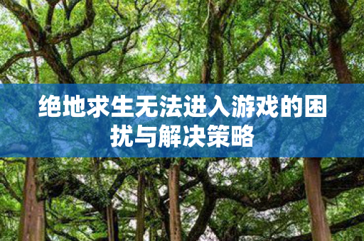 绝地求生无法进入游戏的困扰与解决策略