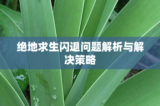 绝地求生闪退问题解析与解决策略 绝地求生闪退问题解析与解决策略