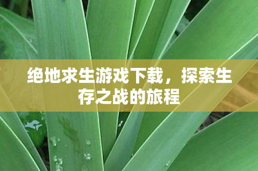 绝地求生游戏下载，探索生存之战的旅程