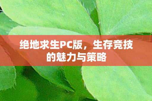 绝地求生PC版，生存竞技的魅力与策略