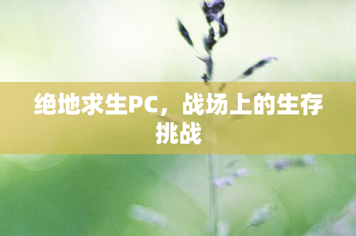绝地求生PC，战场上的生存挑战