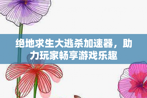 绝地求生大逃杀加速器，助力玩家畅享游戏乐趣