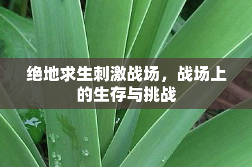 绝地求生刺激战场,战场上的生存与挑战 绝地求生刺激战场,战场上的生存与挑战