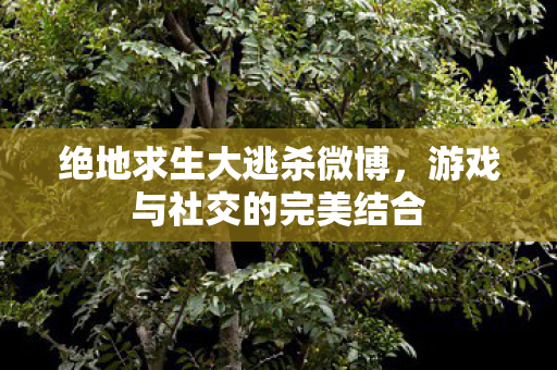 绝地求生大逃杀微博，游戏与社交的完美结合