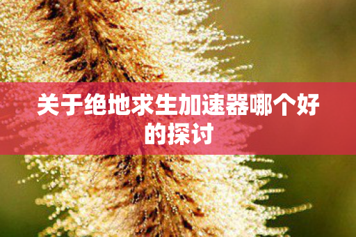 关于绝地求生加速器哪个好的探讨