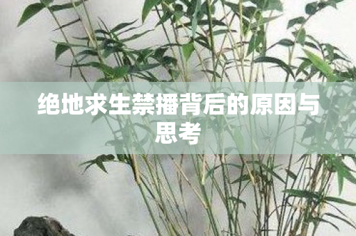 绝地求生禁播背后的原因与思考