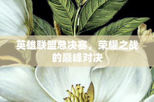英雄联盟总决赛，荣耀之战的巅峰对决