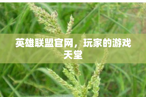 英雄联盟官网，玩家的游戏天堂