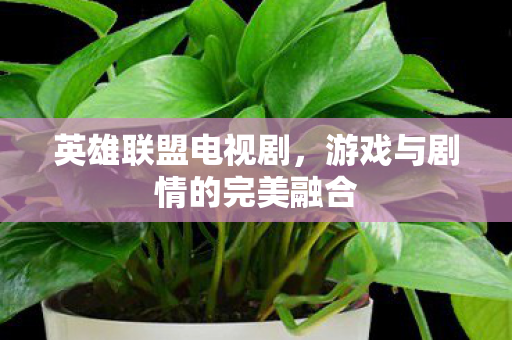 英雄联盟电视剧，游戏与剧情的完美融合