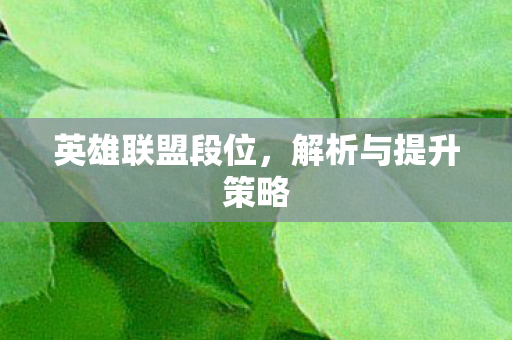 英雄联盟段位,解析与提升策略 英雄联盟段位,解析与提升策略