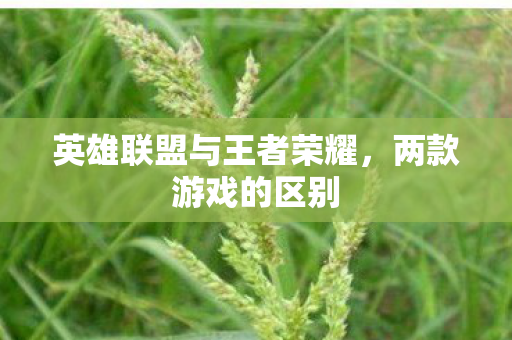 英雄联盟与王者荣耀,两款游戏的区别 英雄联盟与王者荣耀,两款游戏的区别