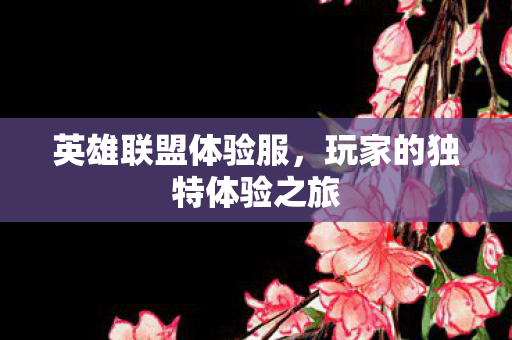 英雄联盟体验服,玩家的独特体验之旅 英雄联盟体验服,玩家的独特体验之旅