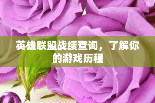 英雄联盟战绩查询，了解你的游戏历程