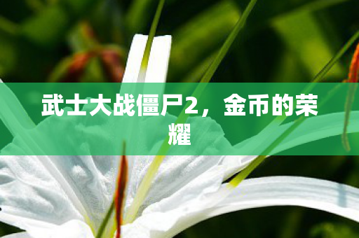武士大战僵尸2，金币的荣耀
