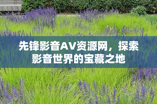 先锋影音AV资源网，探索影音世界的宝藏之地